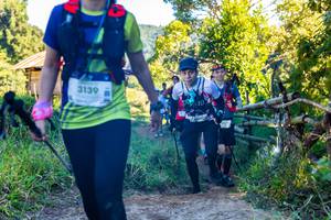 BIB: 3139
                            <button type="button" onclick="openModal(19198973)" class="btn btn-primary btn-sm float-right btn-popup" data-toggle="modal" data-target=".modal-high-quality">
                        <i class="fas fa-shopping-cart"></i> Add to Cart
                    </button>
                                            <button type="button" onclick="isThisMe(19198973, true)" class="btn btn-success btn-sm float-right btn-popup btn-isme hidden" data-toggle="tooltip" data-placement="bottom" title="นี่คือรูปของคุณใช่ไหม คลิกที่นี่เพื่อเอาเข้าอัลบั้ม">
                        <i class="fas fa-plus"></i> Add to album
                    </button>
                    <button type="button" onclick="isThisMe(19198973, false)" class="btn btn-warning btn-sm float-right btn-popup btn-isnotme hidden">
                        <i class="fas fa-ban"></i> Remove from album
                    </button>